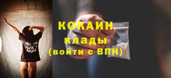 трава Бородино