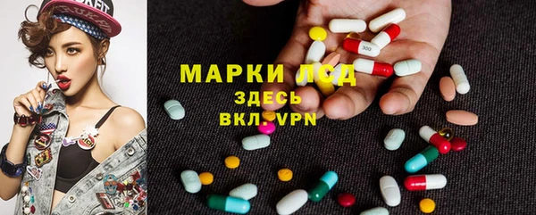 стаф Бугульма