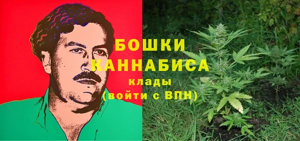трава Бородино