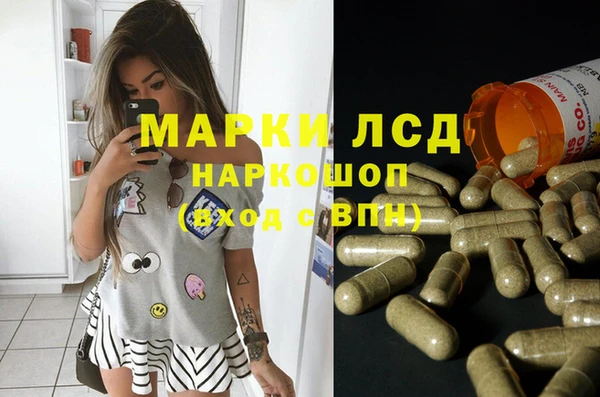 трава Бородино
