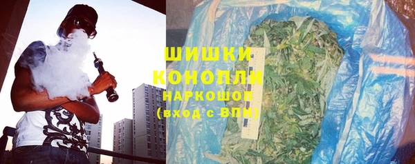 стаф Бугульма