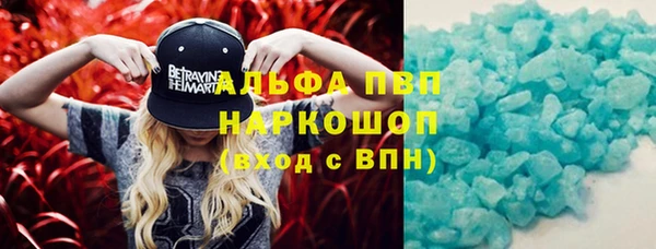 трава Бородино